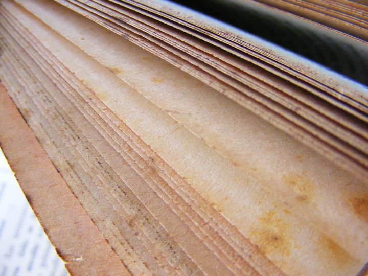 biblioteca 231 copy.jpg